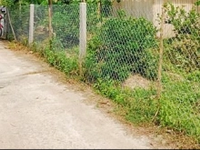 Đất mặt tiền xe hơi 1.532m có 200m thổ cư Châu Thành Bến Tre