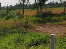 Đất nền 10x21 Huyện Châu Thành, Kiên Giang 216.7m²