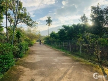 Diện tích 30m*41m, có 100m2 đất ở đô thị.  Cách quốc lộ 20 chỉ hơn trăm mét.