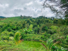 2,7 hecta ở Đoàn Kết - Đạ Huoai.   Có 400m2 thổ cư. Có hơn 200m mặt tiền đườ