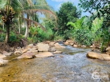 5.400m2 có 400m2 thổ cư xây dựng. - Vườn có 2 sổ, có suối đá giữa vườn, thích h