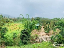 9000m2 , có 200m2 thổ cư , 45m mặt đường nhựa , đang nâng cấp mặt đường nhựa 6m.