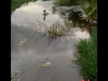 giá 150tr/sào ️Dt:2,55héc ️Cách tỉnh lộ 725: 1km ️Lên đc thổ cư Oto tới nơi