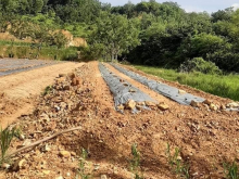 Góc chính chủ cần bán lô đất chủ với 160tr/m có 100m2 thổ cư tạu An Nhơn Đạ Tẻ