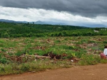 : 56 x 50 có 150m2 thổ cư ( có cắt bán lẻ)  Vị trí: đất mặt tiền đường bê tông G