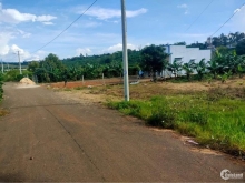 Chính chủa cần bán lô đất với diện tích 10x43 sẵn 200m thổ cư giá 1ty850