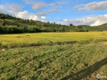 Cấn bán lô đất đẹp đường to giá 630 triệu  1500 m vuông