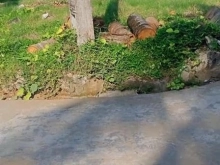Mở Bán Lô đất góc 2 mt Tại Diễn phong