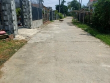 Đất Phường Phổ Văn, Đức Phổ,Quảng Ngãi DT 172 m2,MT 7,5m nở hậu 7,7m