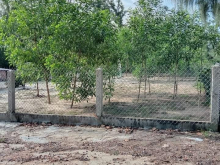 Cc cần  bán  10x24  Tdt 222m2  Đất  ont 100m2  bàn  an phổ  quang