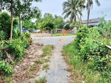 MẢNH VƯỜN PHỔ PHONG, ĐỨC PHỔ GIÁ SIÊU MỀM TRONG MÙA DỊCH NÀY