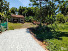 Bán vườn gần sông , đường oto bê tông tới nơi- Phổ Thuận, Đất sạch đẹp