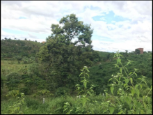 Góc cầb bán đất đầu tư làm nha ngay trung tâm xã Đa Quyn giá 160tr/sào