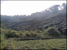 Chỉ với 650tr được sở hữu lô đất với diện tích khủng lên đến 27000m2