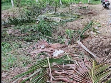 Đất giáp mặt tiền tỉnh lộ, gần chợ, trường học