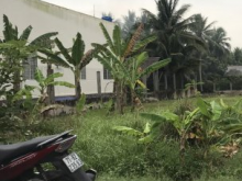 Bán 2186 m2 đất mặt tiền Sơn Phú Giồng Trôm Bến Tre giá 2.2 tỷ/công