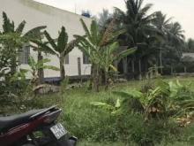 Bán 2186 m2 đất mặt tiền Sơn Phú Giồng Trôm Bến Tre giá 2.2 tỷ/công