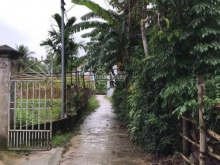 Bán lô đất bê tông Hòa Phong diện tích 10 x 32m ngay chợ đêm Túy Loan