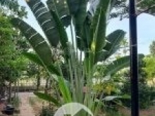 602m2 đất ở view suối cực đẹp vị trí xã Hòa Phú - Hòa Vang - Đà Nẵng