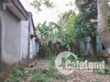 Chính chủ bán lô đất - 210m2 - đường nhựa 5m5 - Hoà Phú