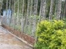 Cần tiền bán rẻ giá sụp hầm tại Hoà Ninh 1, giá 1.17 tỷ