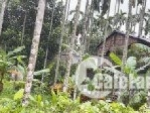 473m2 view suối có 150m2 đất ở tại Hoà Ninh giá chỉ 1.65 tỷ