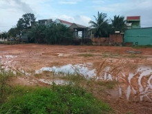 Sang phiếu đấu giá ,chỉ còn 1lô  duy nhất lô 41 đệ đức 3