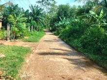 Chủ cần tiền bán gấp lô đất đập ngăn mặn định trị  hoài mỹ,đường bê tông