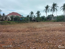 Sang phiếu đấu giá lô 8,9 thôn mỹ khánh  cây sộp,hoài mỹ