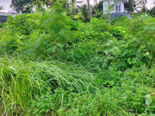 Bán đất cửu lợi nam..1 lo duy nhất giá 4xx triệu