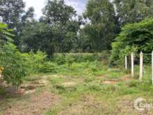 Tôi cần chuyển nhượng 1563 hecta đất nông nghiệp Kiên Giang