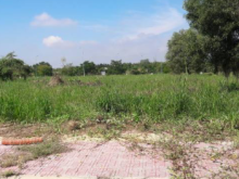 Bán 17.7 công đất ruộng mặt tiền kênh đê - đg đê quốc phòng đg 3/2 nối dài, 700t