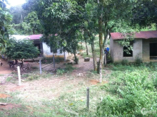 Duy nhất 1 lô cho những ai thik mặt đường qlô 27 , gần uy ban xã liên sang ,