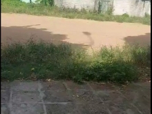 xả lỗ lô đất 97m2 tại Văn Cao Hữu bằng Kiến thụy giá 7xz