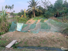 Bán lô đất 125m2 tại Sâm Linh Minh Tân Kiến Thụy giá hạt tiêu cực yêu