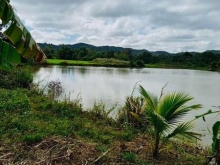 BÁN 1,5 SÀO ĐẤT THỔ CƯ XÂY NHÀ VƯỜN VIEW HỒ CỰC ĐẸP