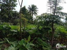 Đất buôn Yông A, Ea Yông, mặt tiền đường liên thôn.