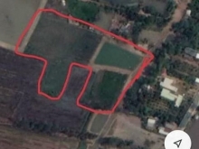 Cần bán gấp 7.800m2 đất Cây Lâu Năm. ngay bên cạnh khu công Nghiệp Hòa Phú