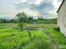 Bán 2.000m2 đất trồng Cây lâu năm thuộc Thị Trấn Long Hồ cuối năm nay