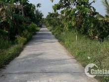 Bán đất DT 15x45m đường bê tông 4m, đất trồng dừa.