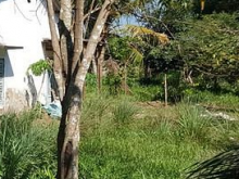 Bán 6.571m2 đất chính chủ mt ql60 MCB