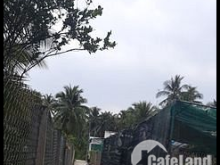 Chính chủ bán đất Xã Hòa Lộc Mỏ Cày Bắc diện tích gần 200m2 thổ 50m