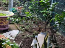 Cần bán đất 7x20 thổ 50m giá 360tr lộ 2.2m xã tân phú tây mỏ cày bắc