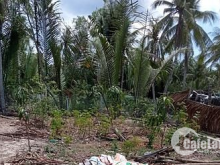 Bán nhà gần Ql 60 mới cách 200m lộ hoa lâm dt 14m x 44m giá 650tr