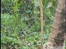 Đất mặt tiền lộ nhựa 6m Thanh Tân