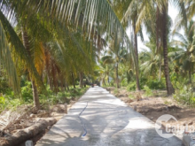 Đất ven sông cách cầu hàm luông 1km,