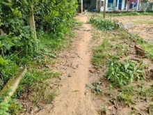 Vườn đức phú mộ đức 1475m có  400m đất ở.