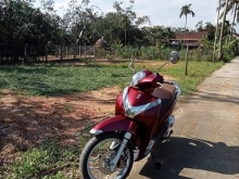 Vườn mini Hành Đức Nghĩa Hánh cực đẹp nè khách ơi