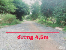  ĐẤT NỀN GIÁ RẺ Cần bán 292m2 (12x24), có 120m thổ tại xã Ninh Tây, Tx Ninh Hò