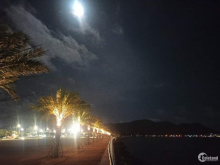 Cần bán lô đất trồng rừng sản xuất, hiện đang trồng keo 1 năm tuổi. Dt 8.500m2ạ